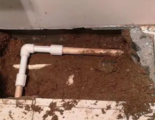 贵定测漏水哪家好