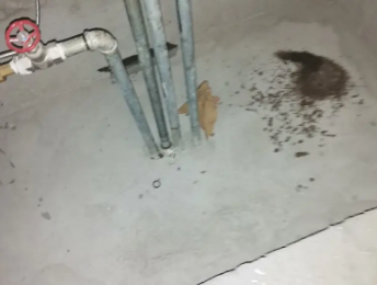 贵定卫生间测漏水价格明细