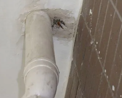 贵定漏水检测哪家好